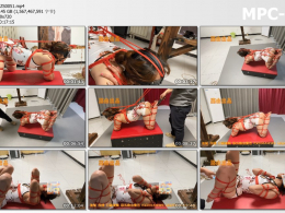 路由工作室_红绳犬缚 SP 震动奖励