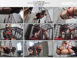 面具男伪娘_伪娘潇潇 被吊在空中驷马 终极篇