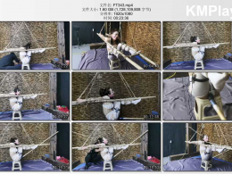 HD飞天原创_一种让雅思奴的竹杆紧缚，加上电击快乐棒，生不如死，入地无门