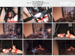 面具男伪娘_伪娘jiojio极限吊头驷马 捆绑放置