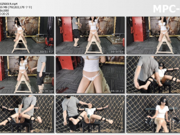 意之窗工作室_汤圆 性感胶衣 双环口珈滴柠檬 直臂骑木马