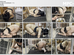 缚予原创_你的女神我的狗系列 慕狗小可驯化记 下集 K9跪爬+牵引爬行训练 踩踏+骑乘臣服 跪趴唱征服 狗狗命令 耳光SP惩罚 狗笼生活 狗盆进食喝(舔)水等 小可能否完成成为慕苟的蜕变