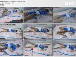 小萌同学_小御学姐化身春丽被真空袋压缩