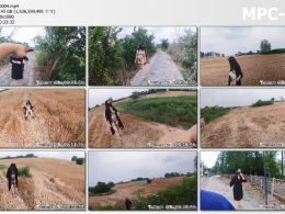 Raymond原创_妻子戴全套贞操带度假村露出之旅 下集