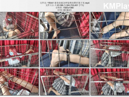 一绳所爱_陈依依被各种姿势囚禁在笼子里