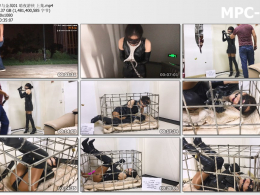 手指间的旋律之旋律与金属 暗夜游侠 上集