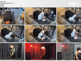 雨辰工作室_训犬实录之汐汐的圈养日记01