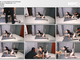 HD飞天原创_多功能新型k9架把柔柔奴禁锢