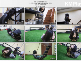 半岛束艺台_会穿墙的小偷