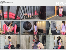 雨辰工作室_秘书系列第三部 圈养生活 口球 木马 项圈 镣铐 关押 监禁 电击 K9 强G