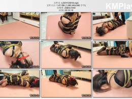 李大侠原创_我的秘书我的奴系列01