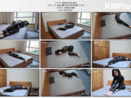 半岛束艺台_间谍危机 下