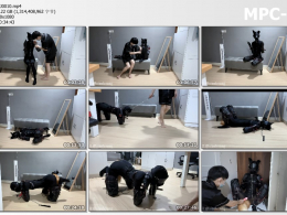 恋鱼日记_小鱼的K9多项训练 爬行遛狗 开口器练习口J 被放在衣柜里强高