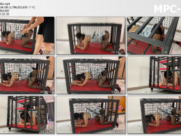 涵涵特辑 旗袍黑丝 K9狗笼固定 炮J高C