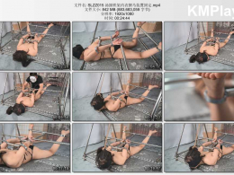 撒琅制造_汤圆铁架内衣驷马装置固定