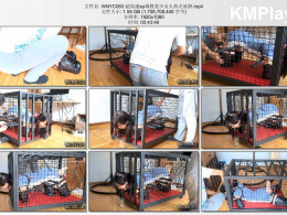 玩奴原创_超高速sp调教美少女人形犬欣妍