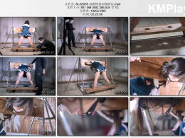 撒琅制造_高跟铁架木枷固定